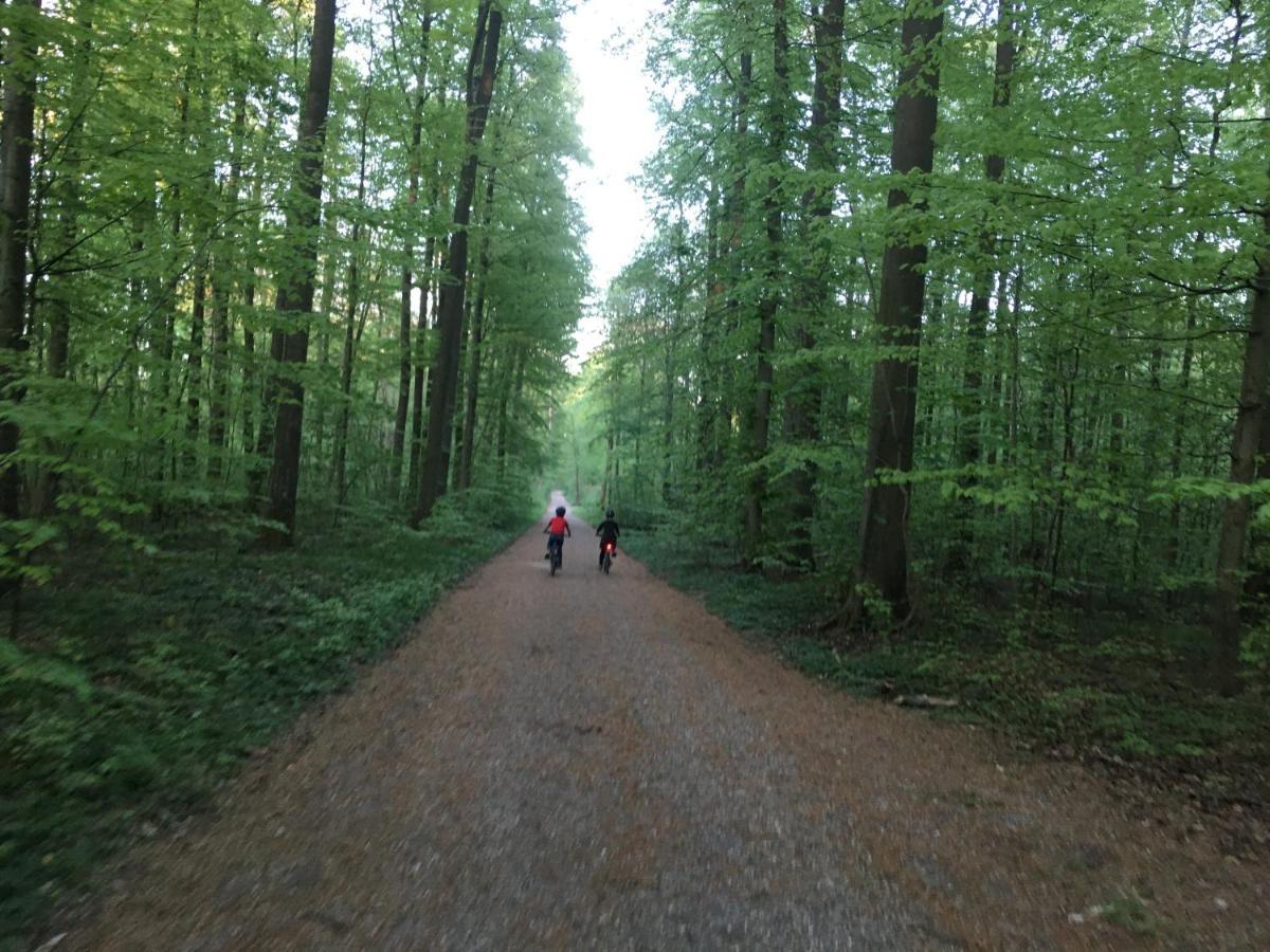 Klosterberghaus - Kontaktloser Check-In Elchingen Buitenkant foto